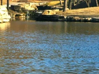 The Village at Briarcliff