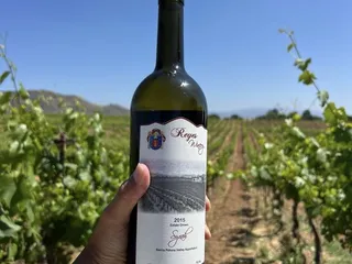 Reyes Winery
