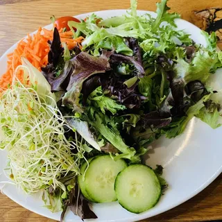 Garden Salad Lunch