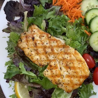 Seafood Garden Salad Lunch