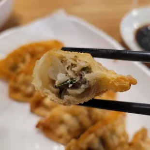 fried dumplings inside