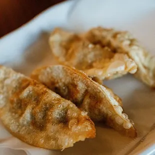 Fried Dumplings