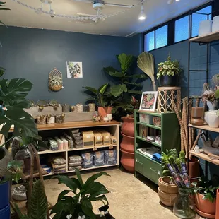 interior lush space