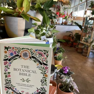 I should have bought this book