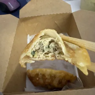 Fried Dumplings