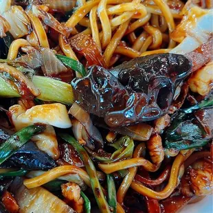 Stir fry spicy Ja Jang mein