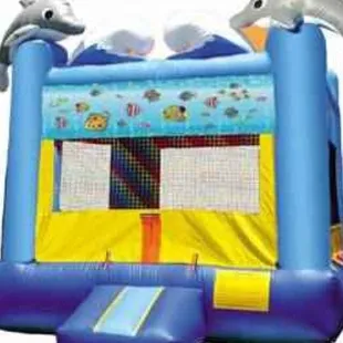 13x13 Dolphin Bouncer