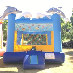 13x13 Dolphin Bounce Castle