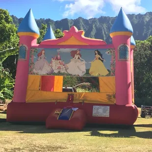 15x15 Princess Bounce Castle