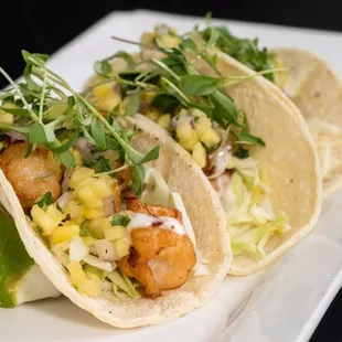 Catch of the Day Tacos