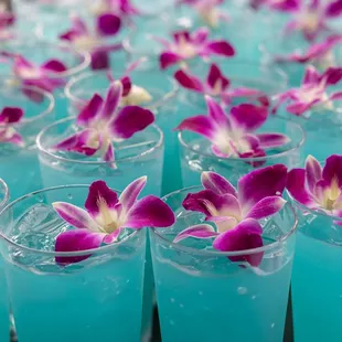 The Drink - Pā'ina Waikīkī Lū'au