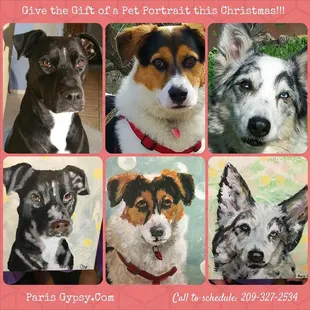 Custom commissioned Pet Portraits!