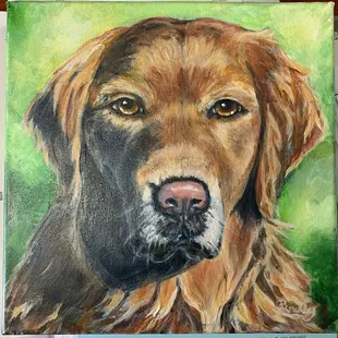 Custom Pet Portraits available!