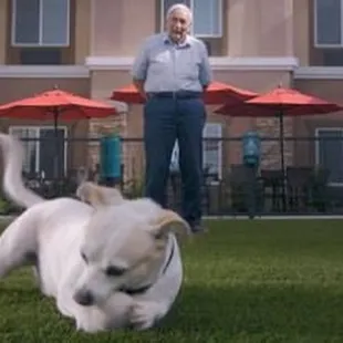 Paintbrush is dog friendly with a dedicated park for your furry companion.