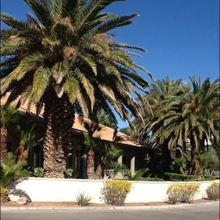 A view of our pet friendly patio