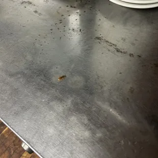 COCKROACH