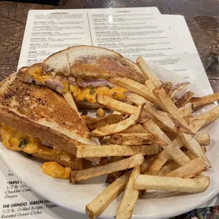 Hot Gobbler and Fries