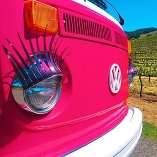 Meet the newest girl on the team- Rosie!!