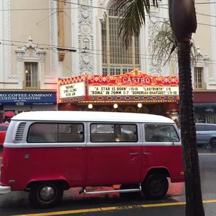 Buttercup in the Castro district