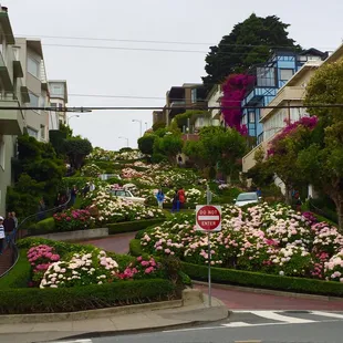 Lombard St