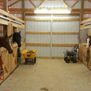 we're ready for our treats!