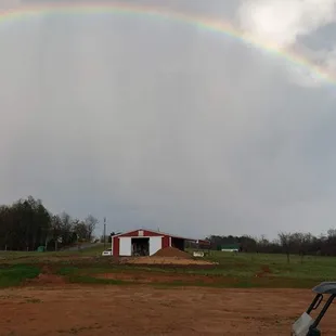 Rainbow when we first bought PSR!