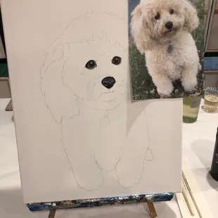 Paint your pet class!