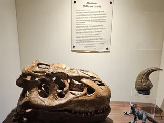 Dinosaur World