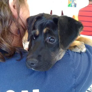 They brought puppies for the SPCA fundraiser