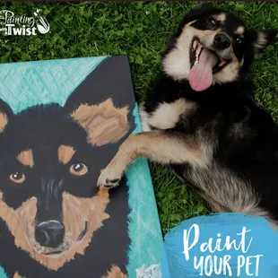 Paint Your Pet!  We offer this Amazing Event 1-2 times per month and would love to help you create the PURRfect Portrait!