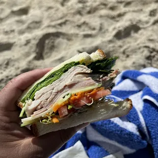 a person holding a sandwich