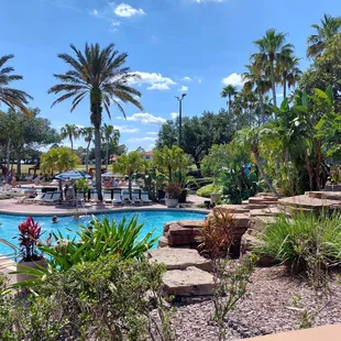 a pool with a waterfall and palm trees