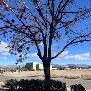 View from patio