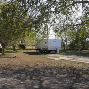 Country Breezes and Shade Trees