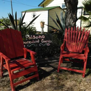 Chill out at the succulent garden area