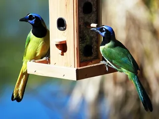 Wilderness Lakes RV Resort