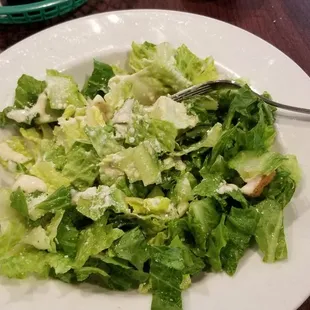 Huge Caesar salad. $7.99