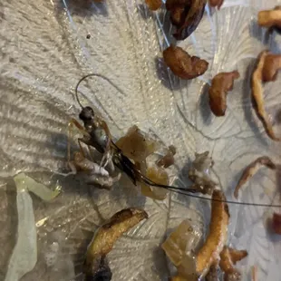 a plate of food that has been eaten