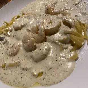 Shrimp Alfredo