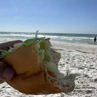 Turkey Sub, sand, sun and surf!