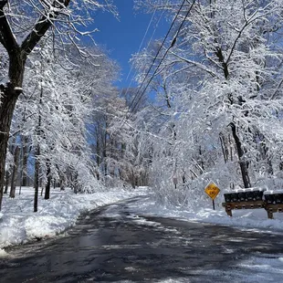 Maplewood in Deephaven