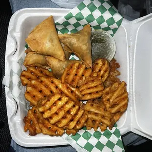 Beef Samosa with fries #1