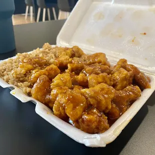 General Tso&apos;s Chicken (Lunch) Plain Fried Rice (Spring Roll not pictured)