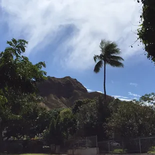 Wow! View from parking lot.