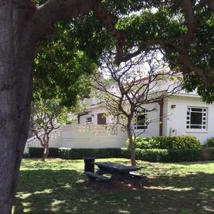 Backside of building with nice picnic area