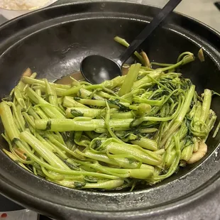 Today's special ： stir fry water spinach in fermented shrimp paste (虾酱煮通菜）