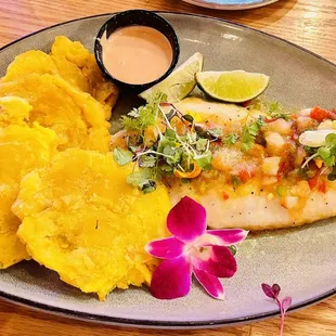 Filet grilled Snapper with tostones
