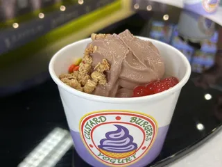 Yo-B Yogurt & Burgers