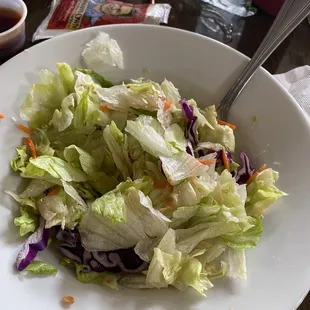 The very sad salad that went with the weight watchers dinner special. Gross... have you no pride?
