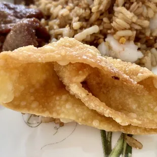 Fried Wonton